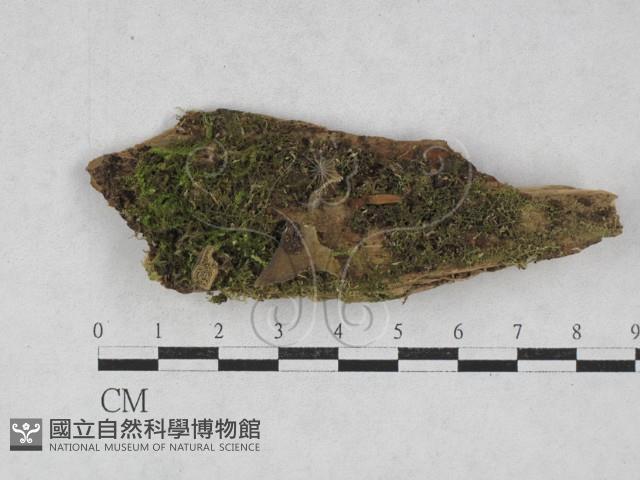 登錄號:F0028112藏品圖，第1張