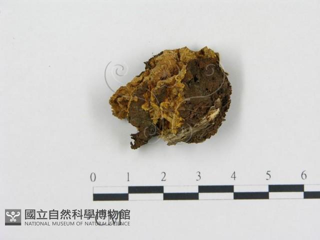 登錄號:F0006112藏品圖，第1張