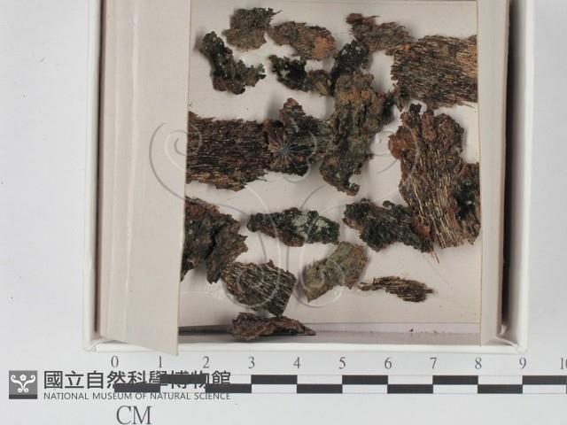 登錄號:F0021112藏品圖，第1張