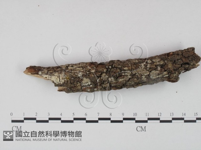 登錄號:F0022112藏品圖，第1張