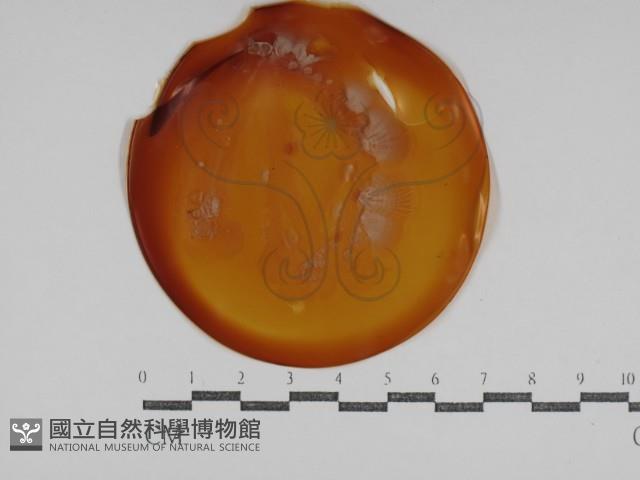 登錄號:F0031012藏品圖，第1張