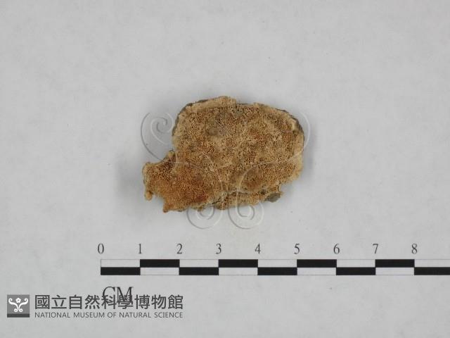 登錄號:F0024012藏品圖，第1張