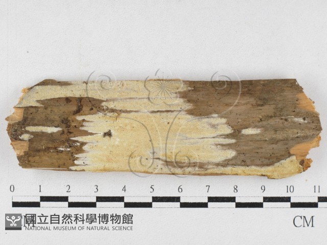 登錄號:F0027012藏品圖，第1張