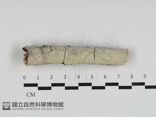 登錄號:F0033012藏品圖，第1張