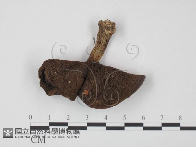 登錄號:F0020312藏品圖，第1張