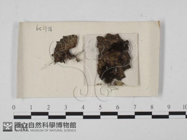 登錄號:F0021312藏品圖，第1張