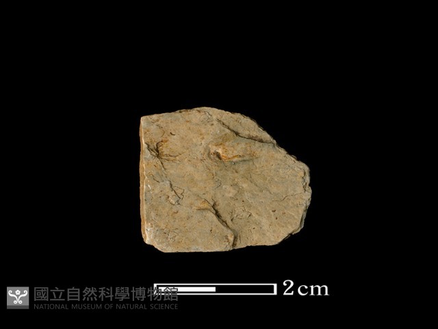 帶加工痕石材藏品圖，第2張