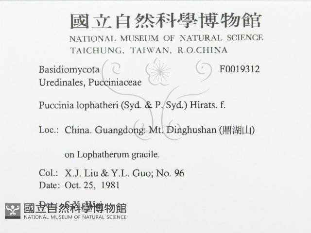 登錄號:F0019312藏品圖，第3張