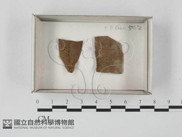 登錄號:F0018252藏品圖，第1張