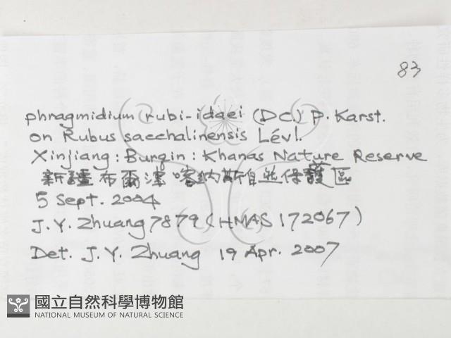 登錄號:F0026252藏品圖，第3張