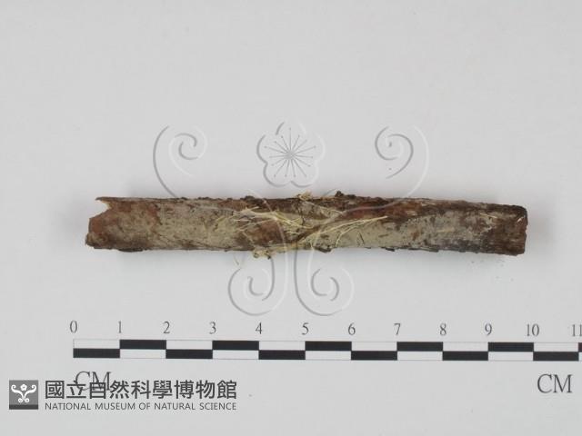 登錄號:F0022252藏品圖，第1張