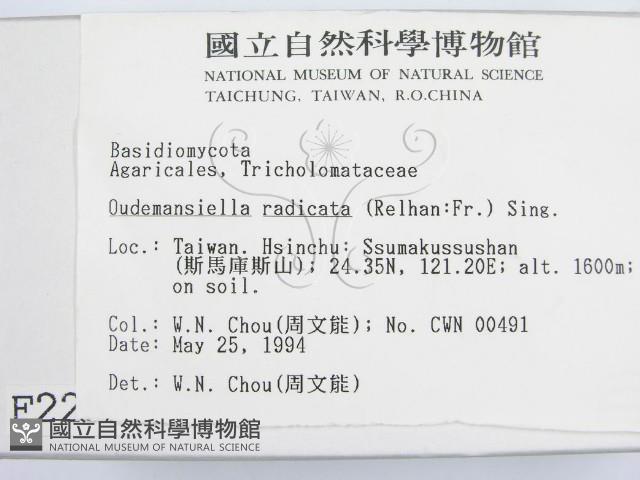 登錄號:F0002252藏品圖，第3張