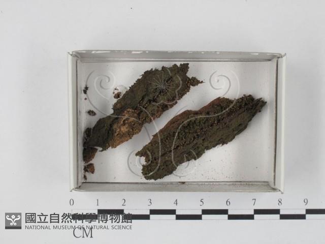 登錄號:F0019852藏品圖，第1張