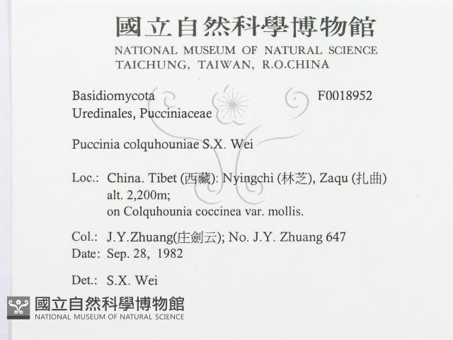 登錄號:F0018952藏品圖，第3張
