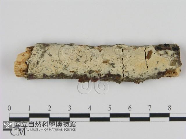 登錄號:F0002952藏品圖，第1張