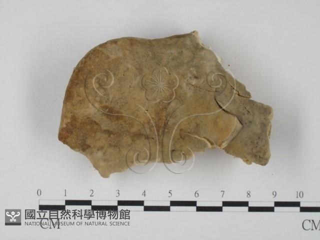 登錄號:F0006652藏品圖，第1張