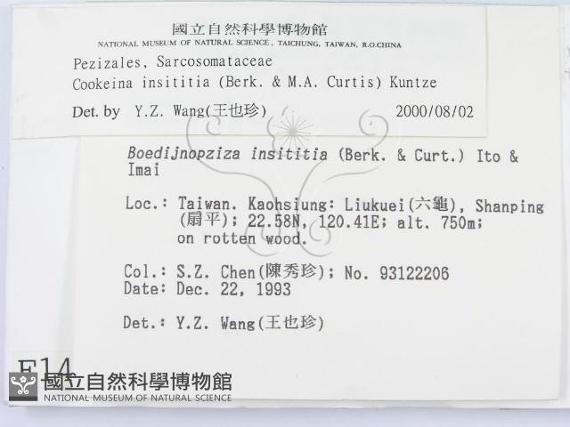登錄號:F0001452藏品圖，第3張