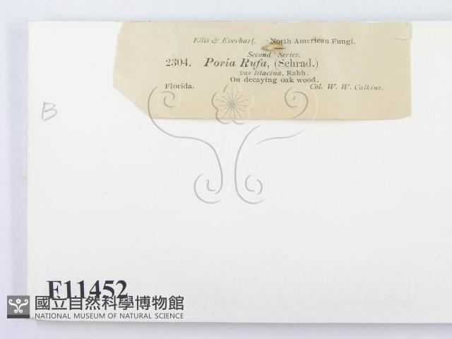 登錄號:F0011452藏品圖，第3張