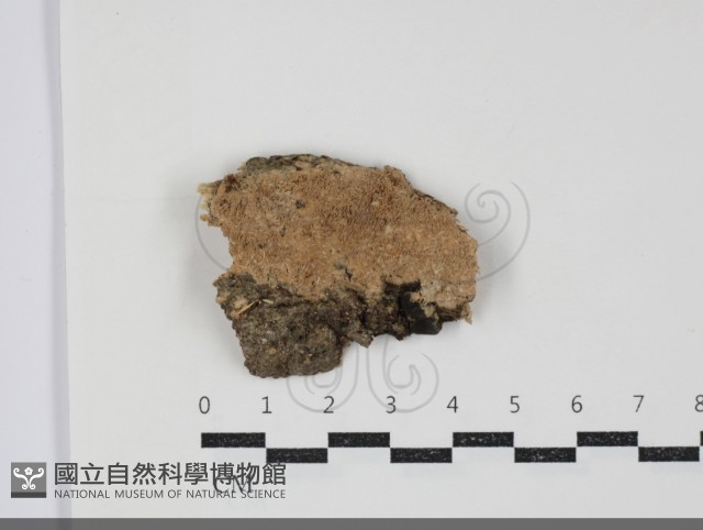 登錄號:F0034452藏品圖，第1張