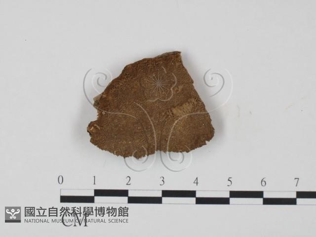 登錄號:F0009452藏品圖，第1張