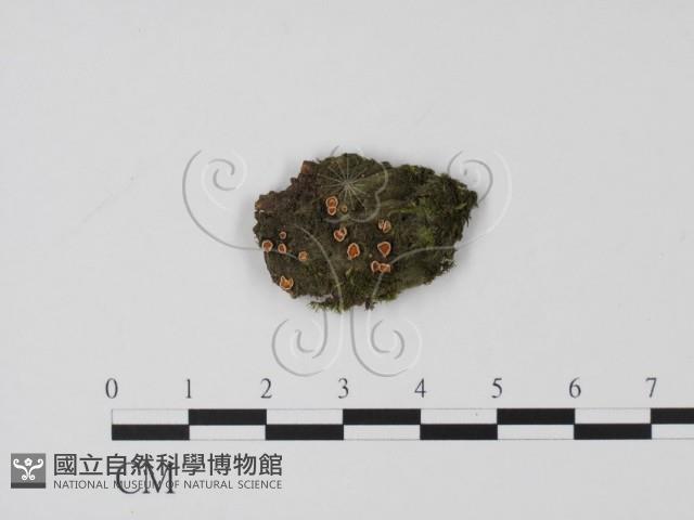 登錄號:F0003452藏品圖，第1張