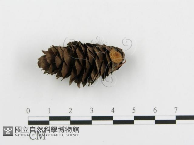 登錄號:F0001752藏品圖，第1張