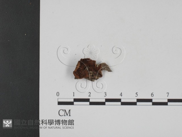 登錄號:F0007752藏品圖，第1張