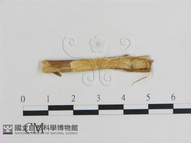 登錄號:F0017752藏品圖，第1張