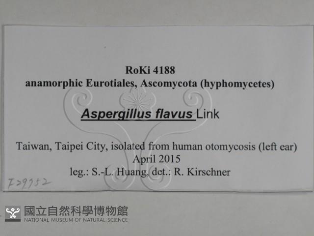 登錄號:F0029752藏品圖，第3張