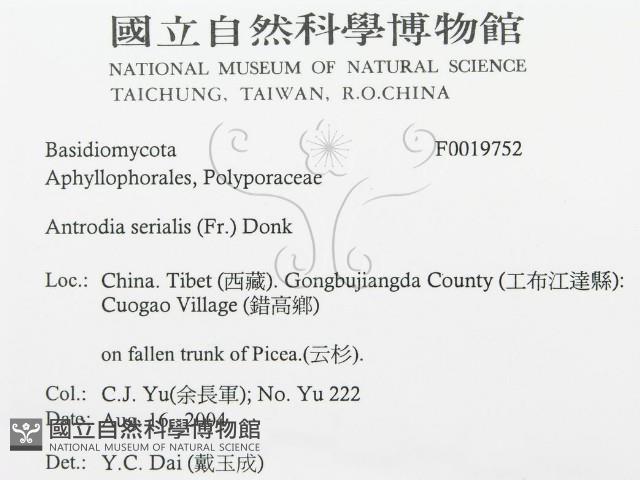 登錄號:F0019752藏品圖，第3張