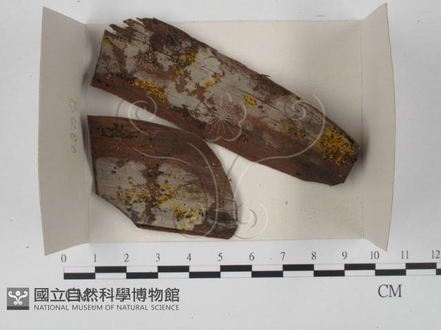 登錄號:F0018552藏品圖，第1張