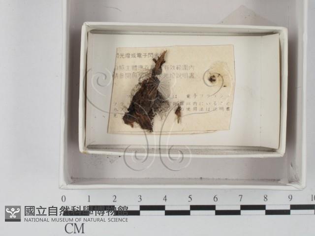 登錄號:F0020552藏品圖，第1張