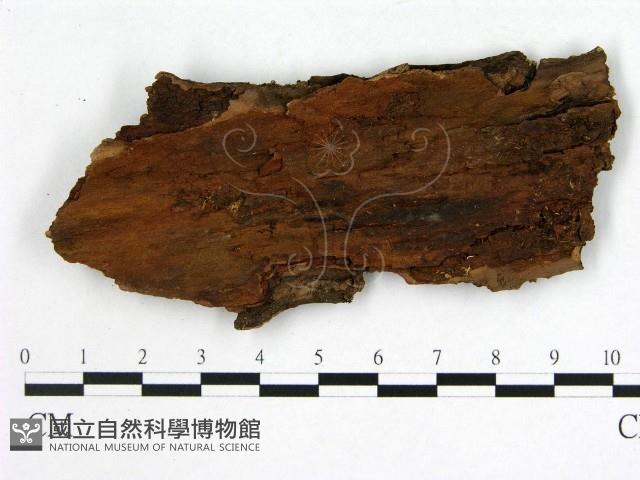 登錄號:F0006552藏品圖，第1張