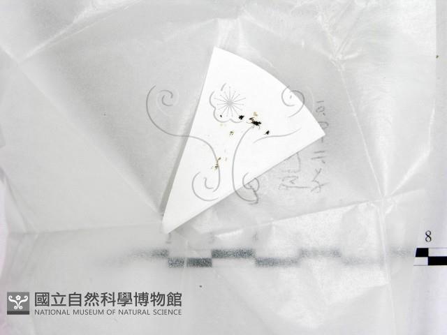 登錄號:F0022552藏品圖，第1張