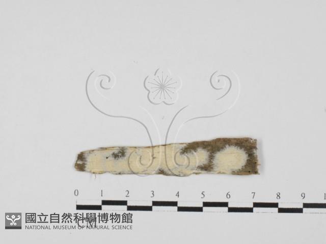 登錄號:F0027552藏品圖，第1張