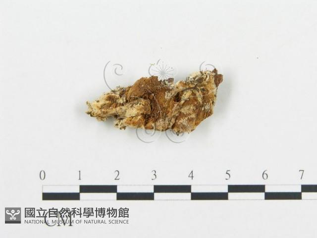 Accession Number:F0009552 Collection Image, Figure 1, Total 3 Figures