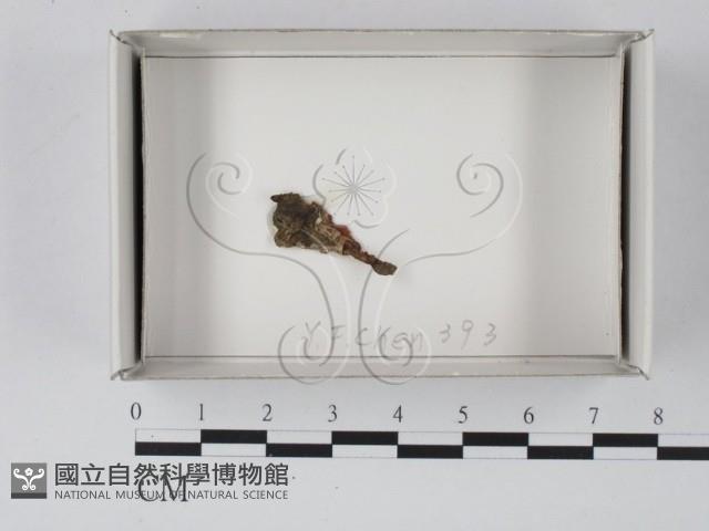 登錄號:F0018152藏品圖，第1張