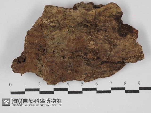 登錄號:F0030152藏品圖，第1張