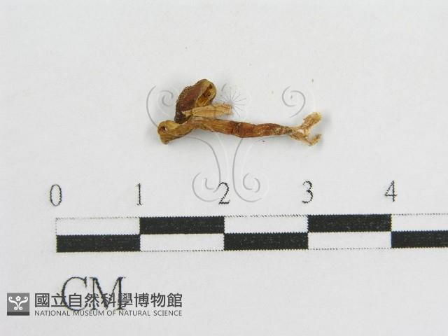 登錄號:F0002152藏品圖，第1張