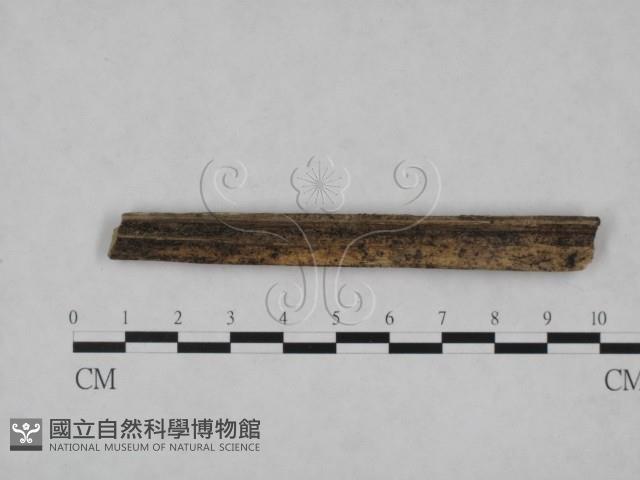 登錄號:F0012152藏品圖，第1張