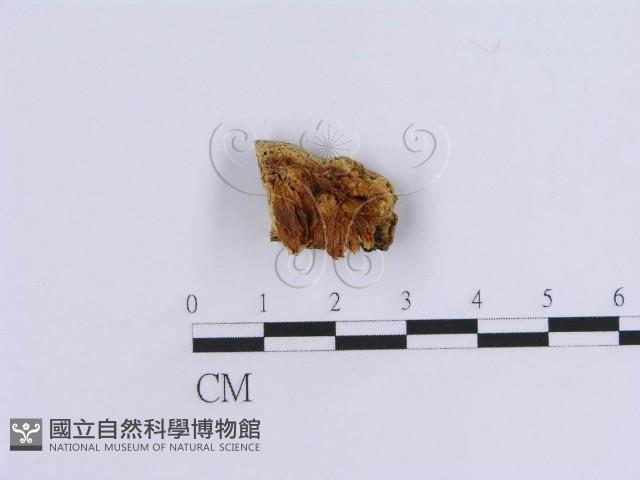 登錄號:F0007152藏品圖，第1張