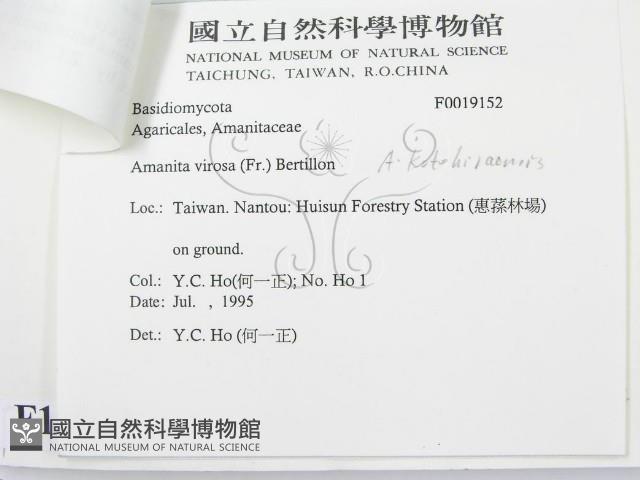 登錄號:F0019152藏品圖，第3張