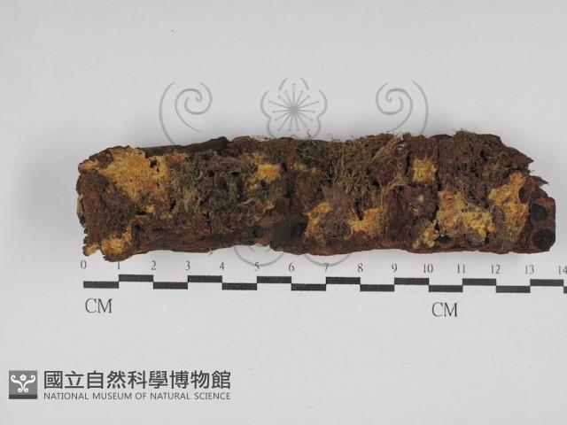 登錄號:F0030052藏品圖，第1張