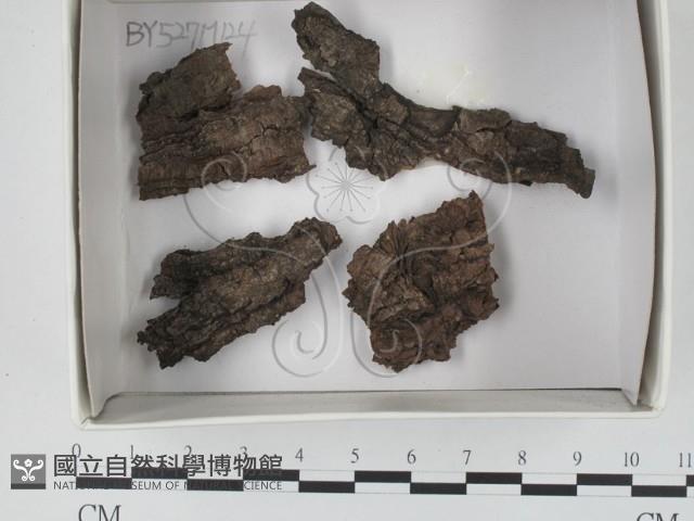 登錄號:F0018352藏品圖，第1張