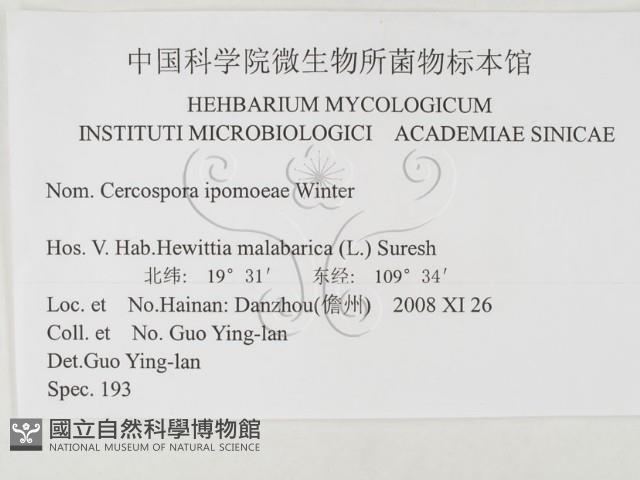 登錄號:F0026352藏品圖，第3張