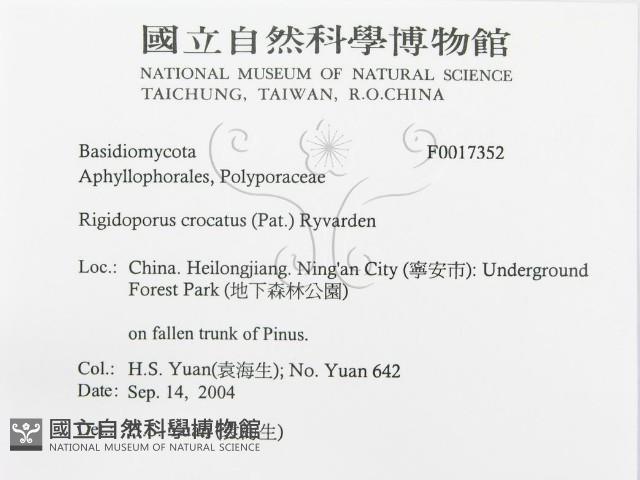 登錄號:F0017352藏品圖，第3張