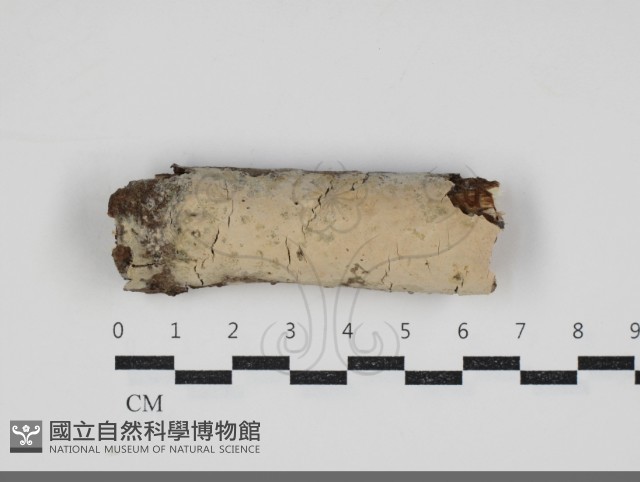 登錄號:F0034242藏品圖，第1張