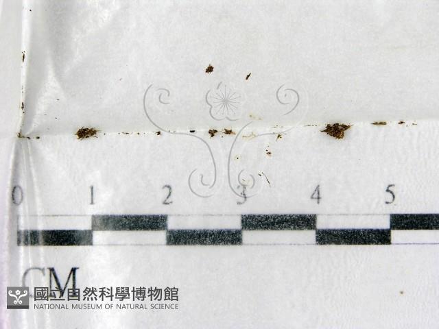 登錄號:F0002242藏品圖，第1張