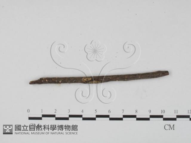 登錄號:F0012242藏品圖，第1張