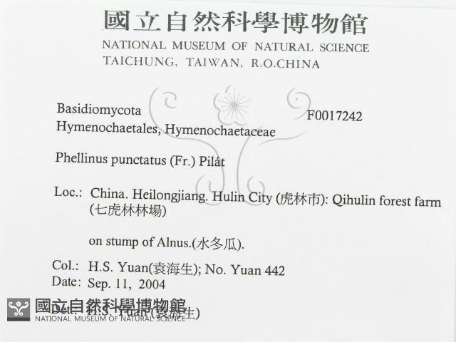 登錄號:F0017242藏品圖，第3張